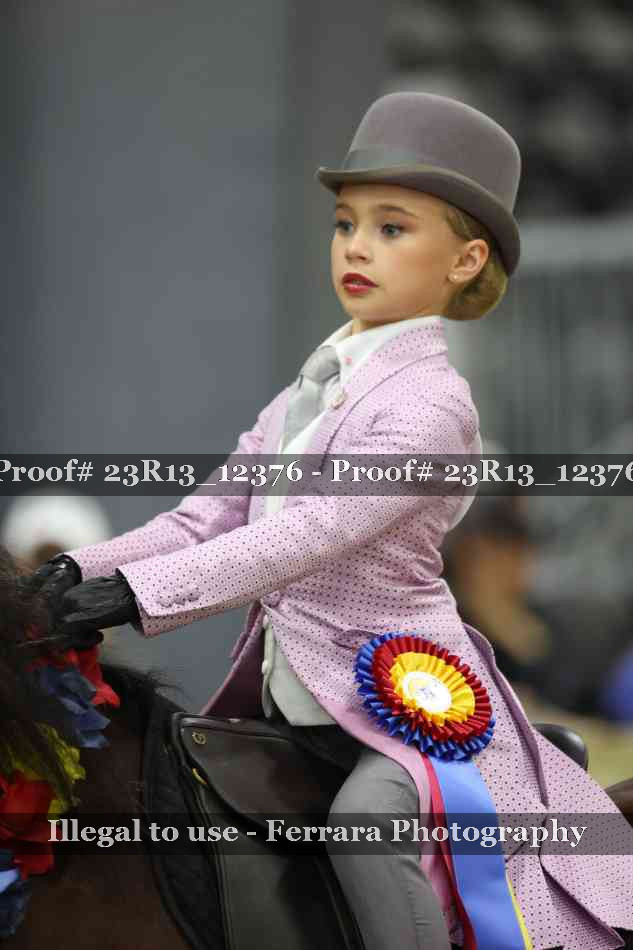Proof 23R13_12376