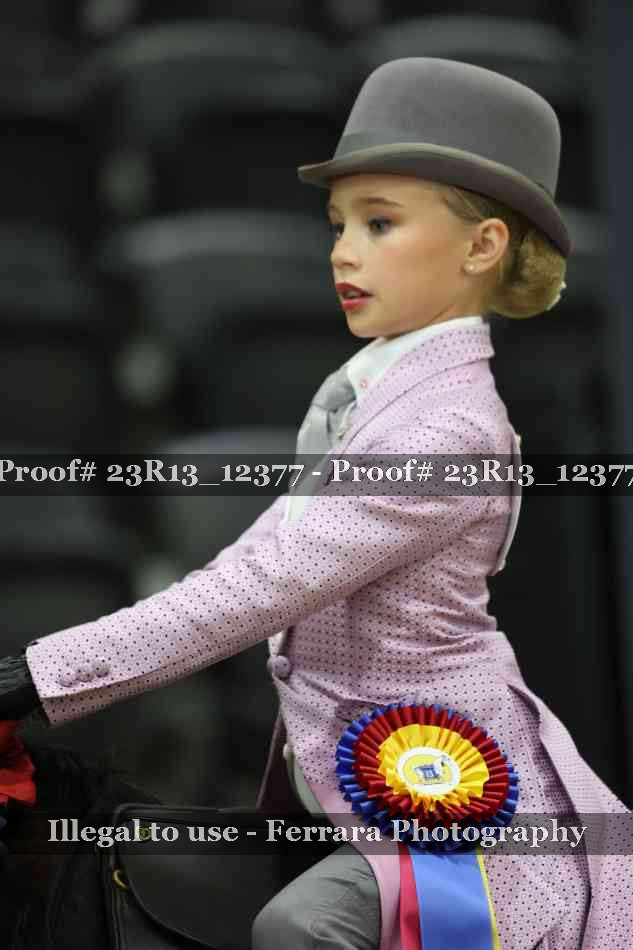 Proof 23R13_12377