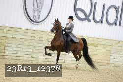 23R13_12378 proof