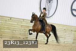 23R13_12381 proof