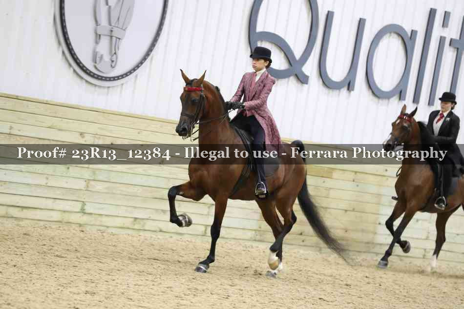 Proof 23R13_12384