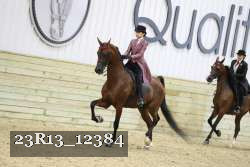 23R13_12384 proof
