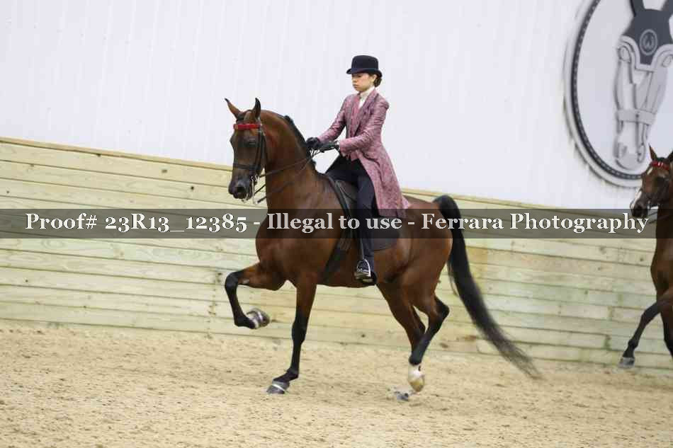 Proof 23R13_12385