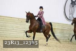 23R13_12385 proof