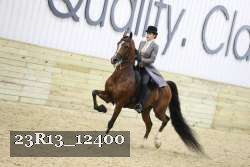 23R13_12400 proof