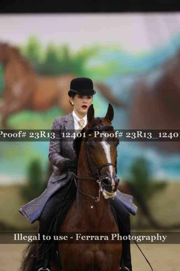 Proof 23R13_12401