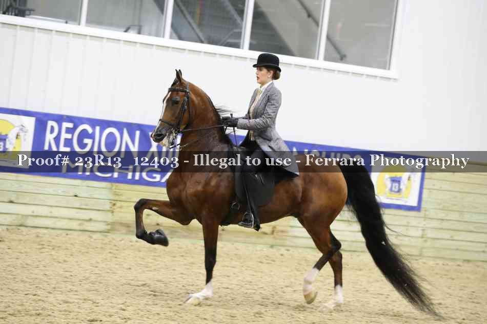 Proof 23R13_12403