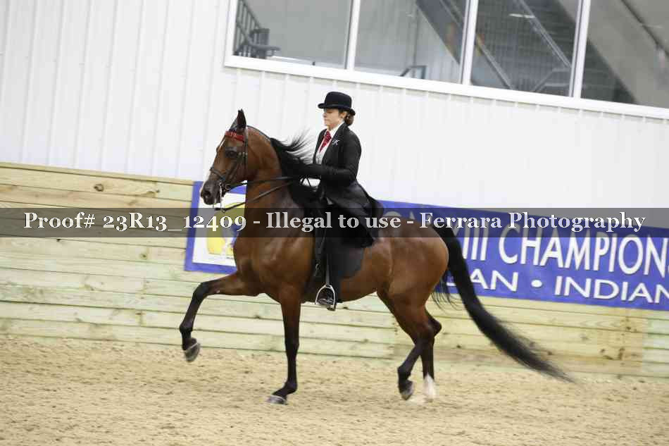 Proof 23R13_12409
