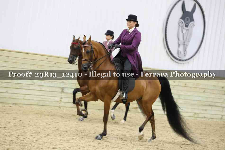 Proof 23R13_12410