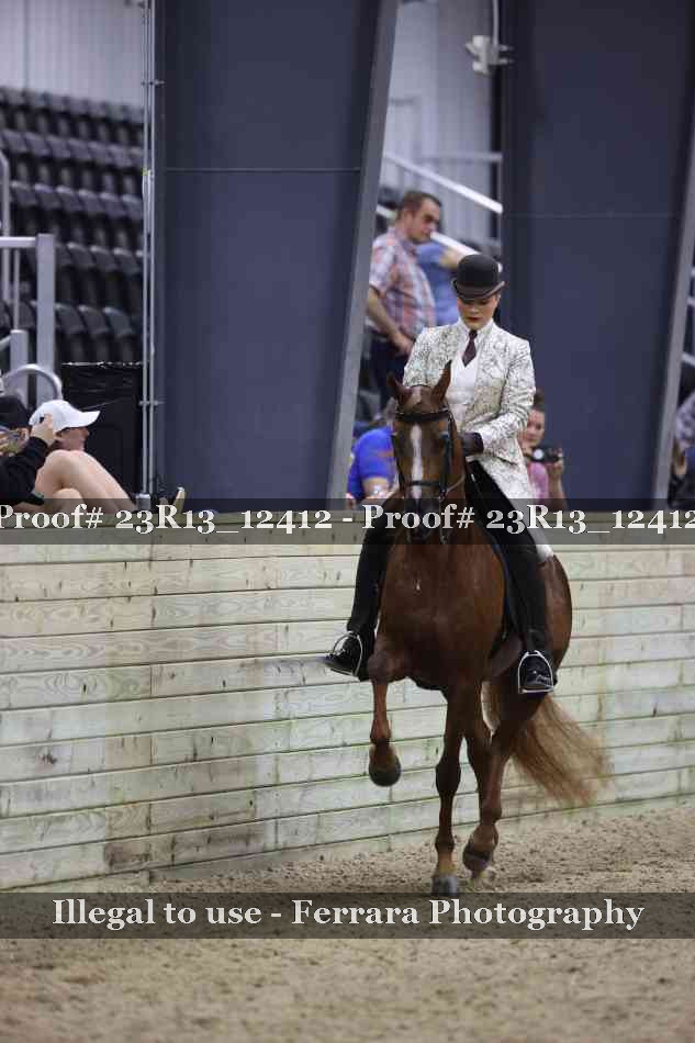 Proof 23R13_12412