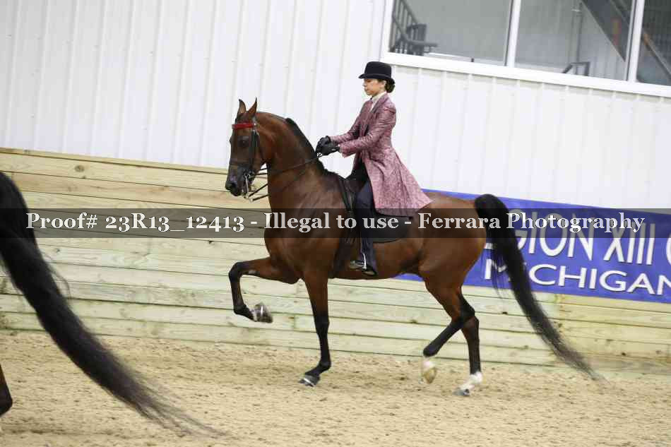 Proof 23R13_12413