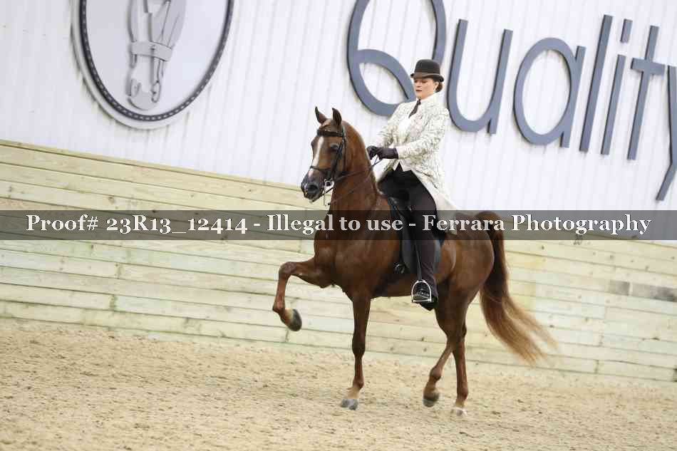 Proof 23R13_12414