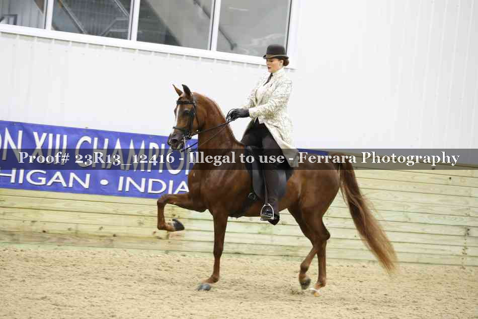 Proof 23R13_12416