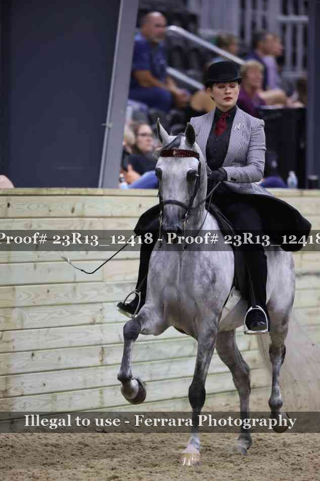 Proof 23R13_12418