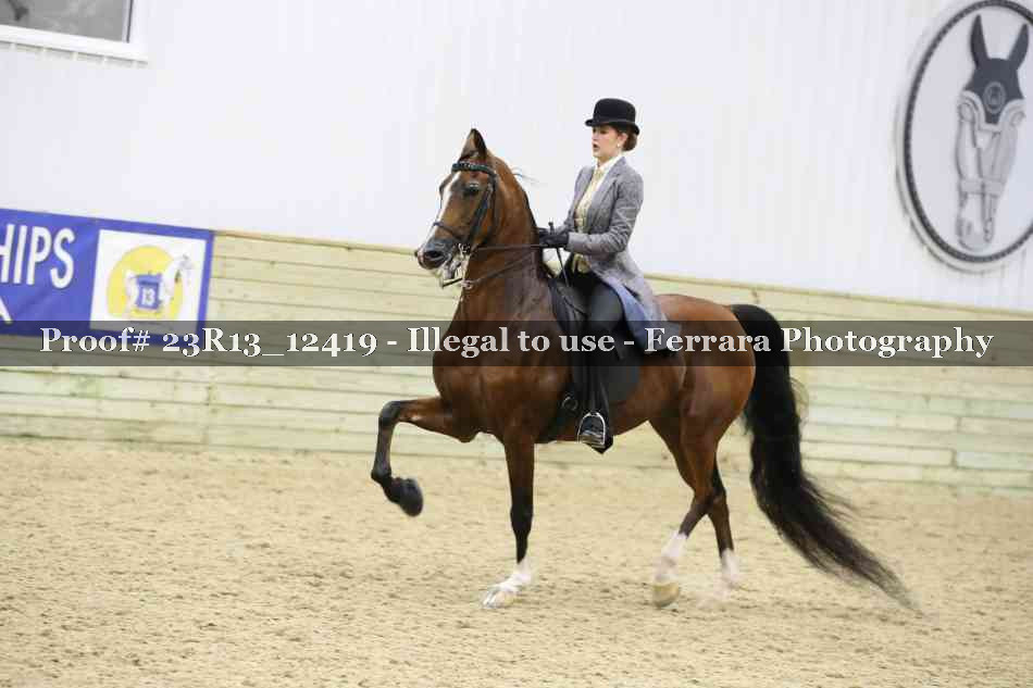 Proof 23R13_12419