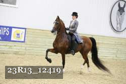 23R13_12419 proof