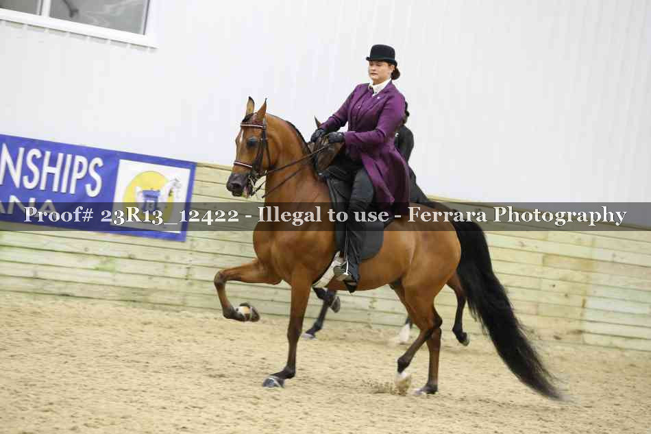 Proof 23R13_12422