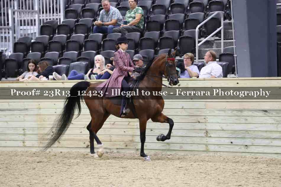 Proof 23R13_12423