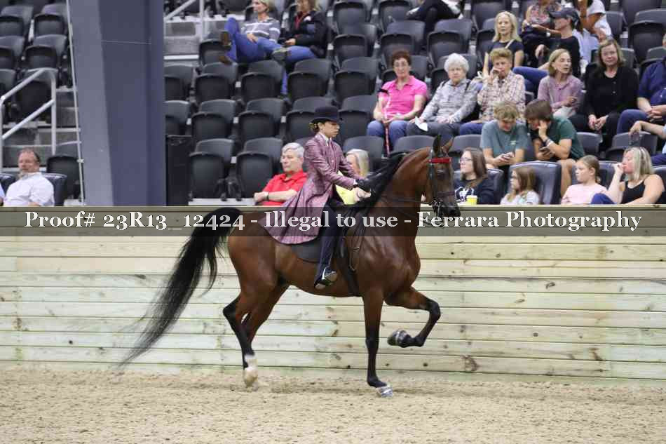 Proof 23R13_12424