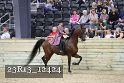 23R13_12424 proof