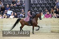 23R13_12425 proof