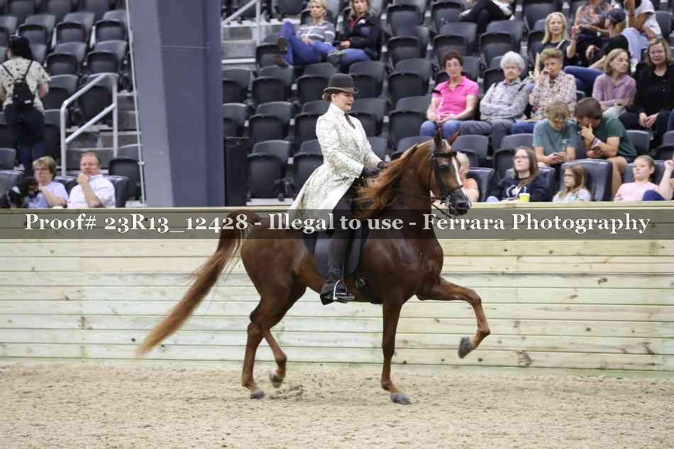 Proof 23R13_12428