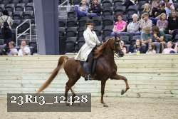 23R13_12428 proof