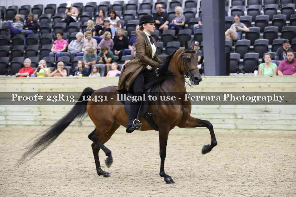 Proof 23R13_12431