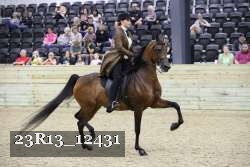 23R13_12431 proof