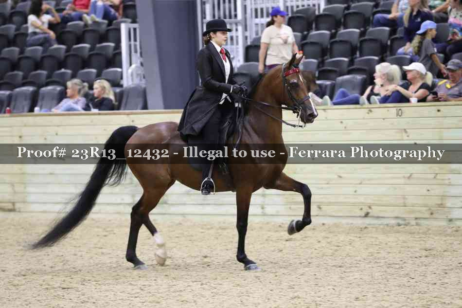 Proof 23R13_12432