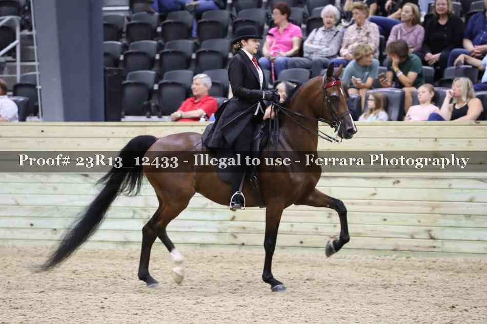 Proof 23R13_12433
