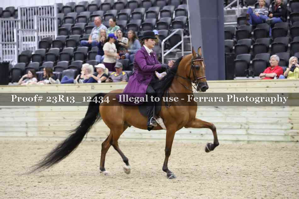 Proof 23R13_12434