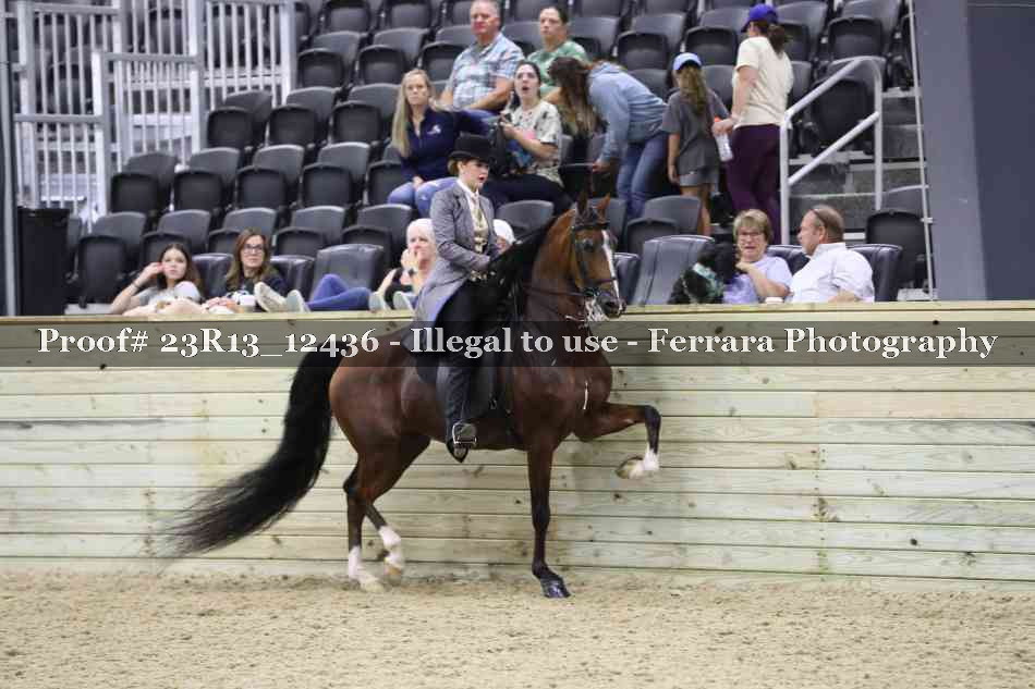 Proof 23R13_12436