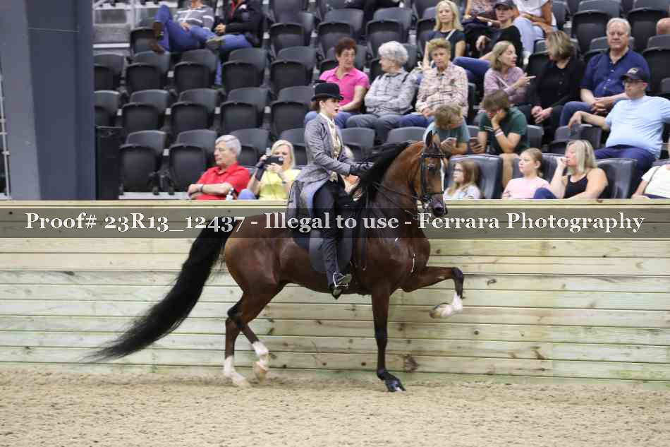Proof 23R13_12437