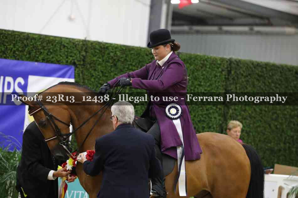 Proof 23R13_12438