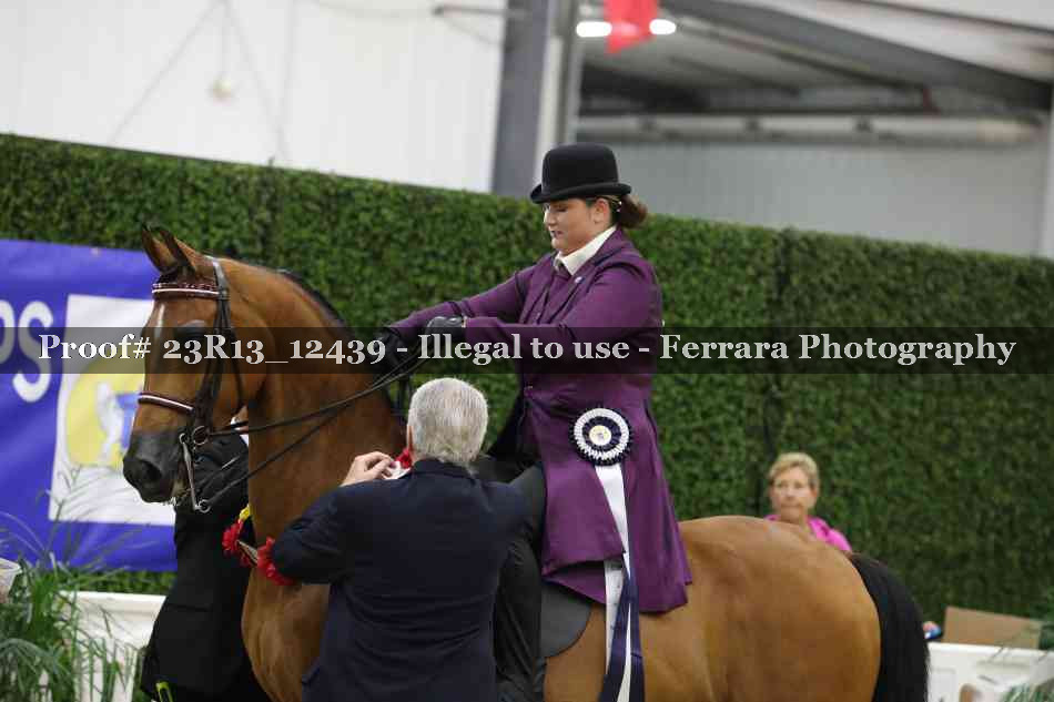 Proof 23R13_12439