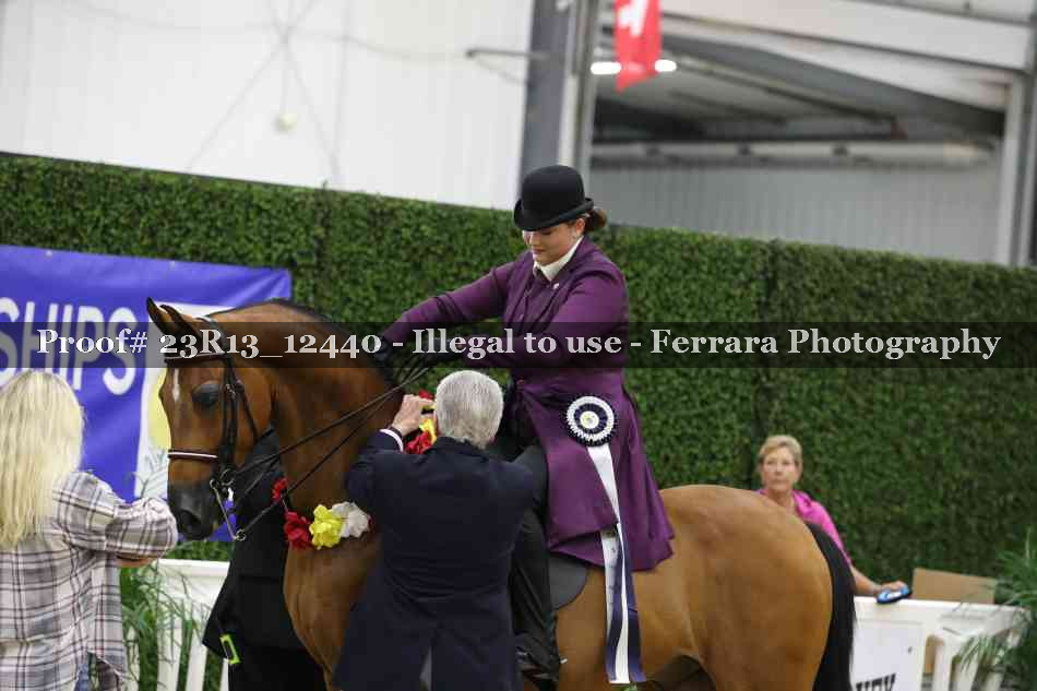 Proof 23R13_12440