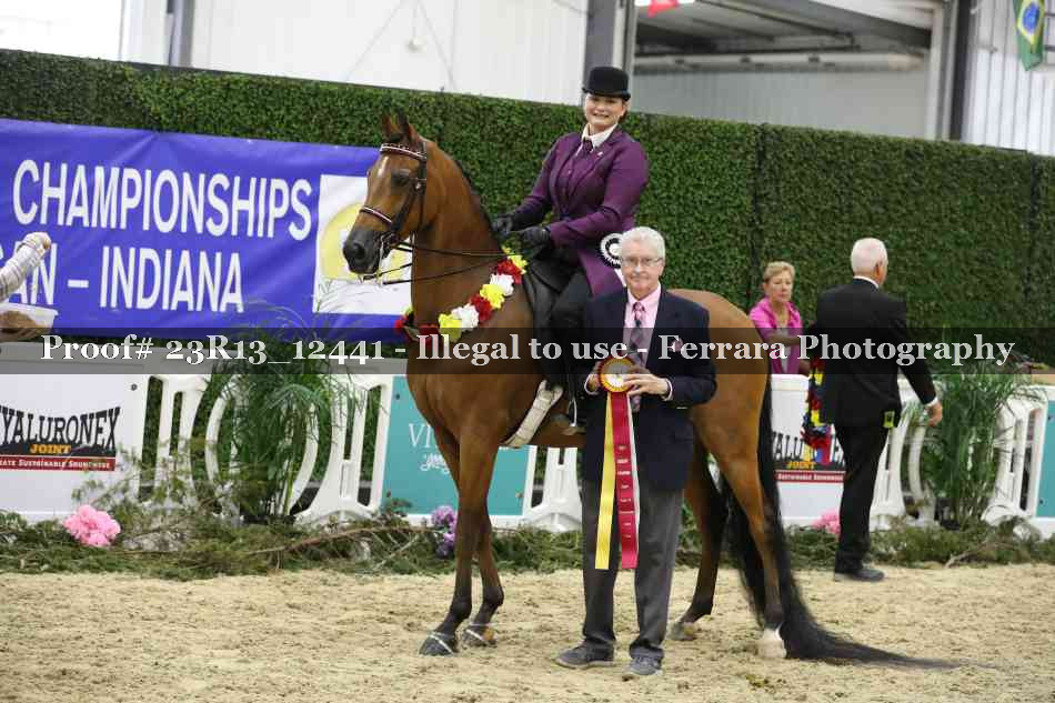 Proof 23R13_12441