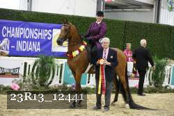 23R13_12441 proof