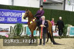 23R13_12442 proof