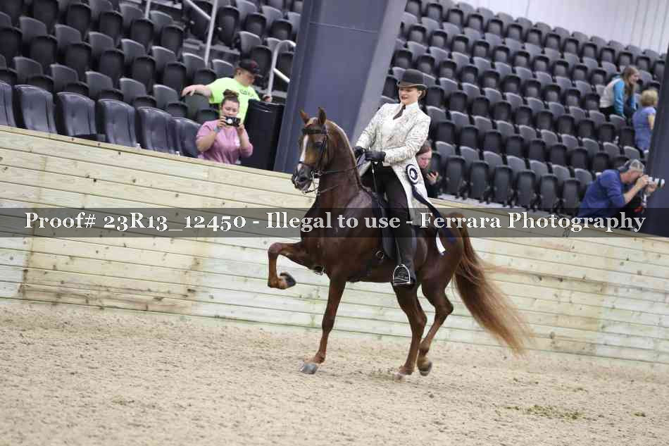 Proof 23R13_12450