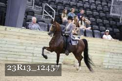 23R13_12457 proof
