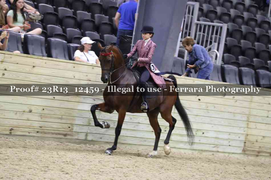 Proof 23R13_12459