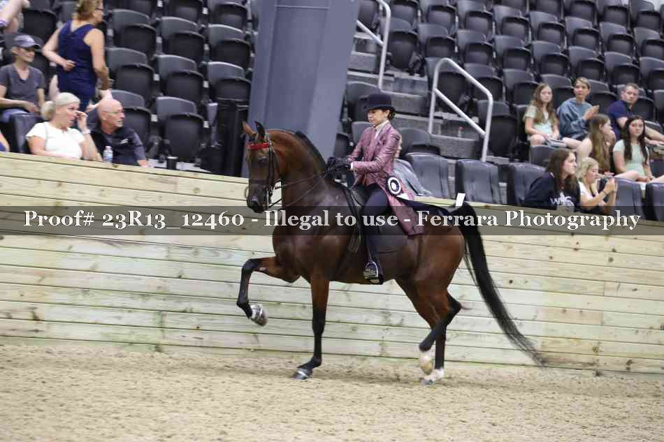 Proof 23R13_12460