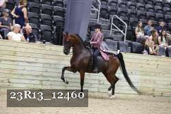 23R13_12460 proof