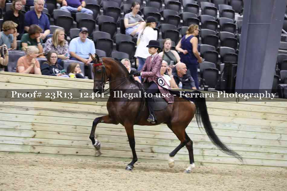 Proof 23R13_12461