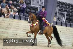 23R13_12463 proof