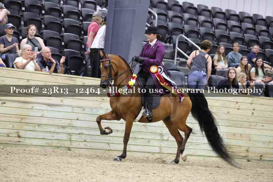 Proof 23R13_12464