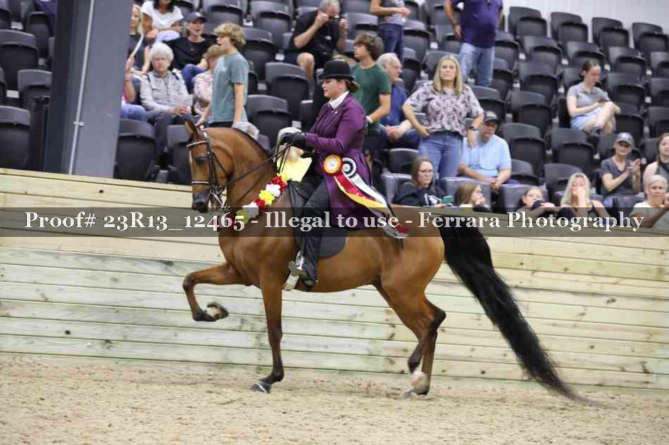 Proof 23R13_12465