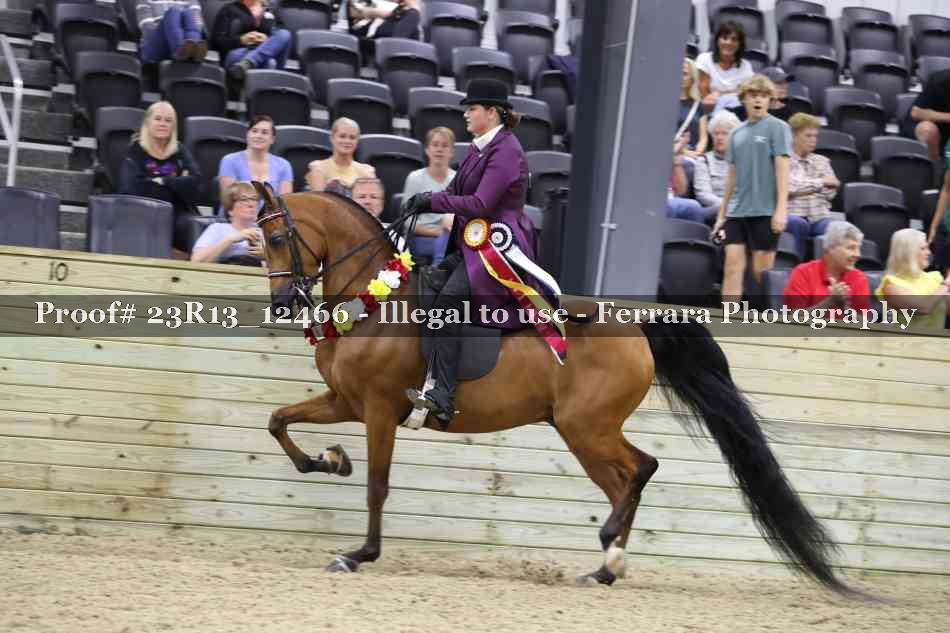 Proof 23R13_12466